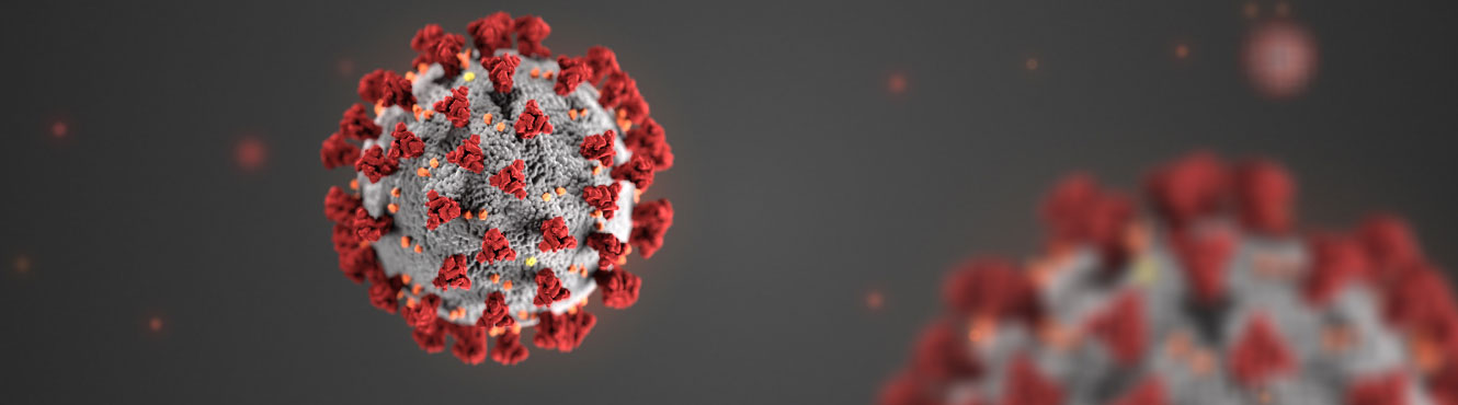 Coronavirus Image from CDC
