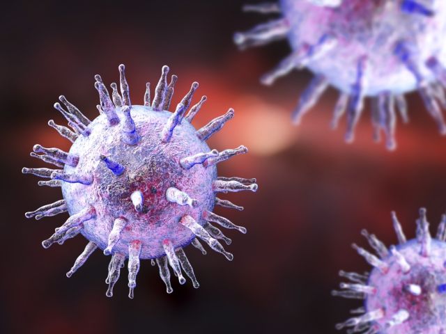Digital illustration of Epstein-Barr Virus. Credit: Shutterstock
