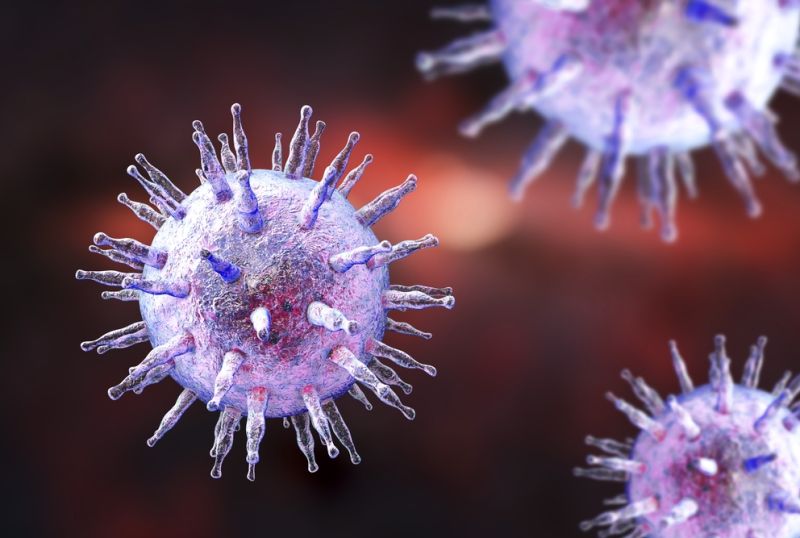 Digital illustration of Epstein-Barr Virus. Credit: Shutterstock