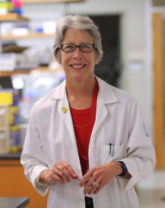 Katherine Amberson Hajjar, MD